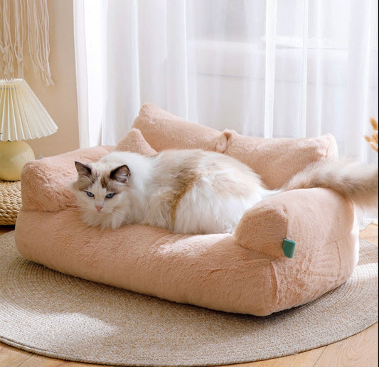 Famous cat sofa