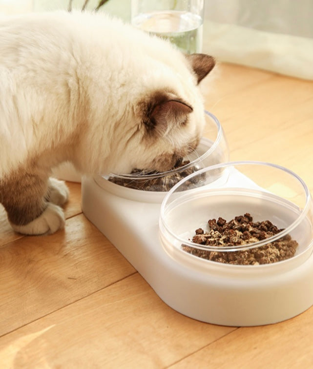 Cat food and water bowl