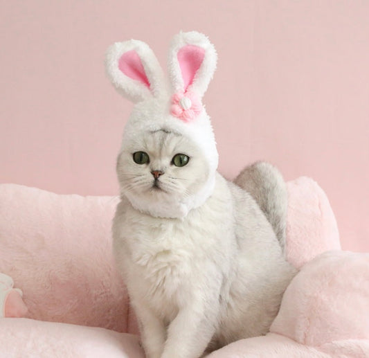 Cute bunny hat