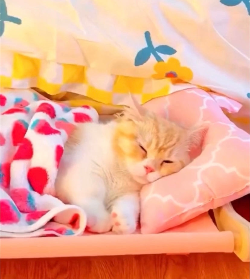 Cat hanging bed