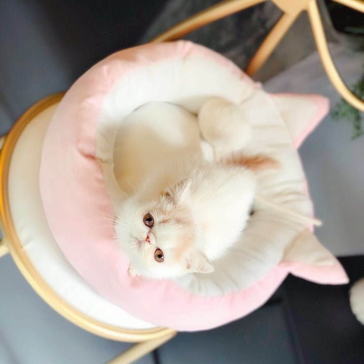 Cat bed with a pompom